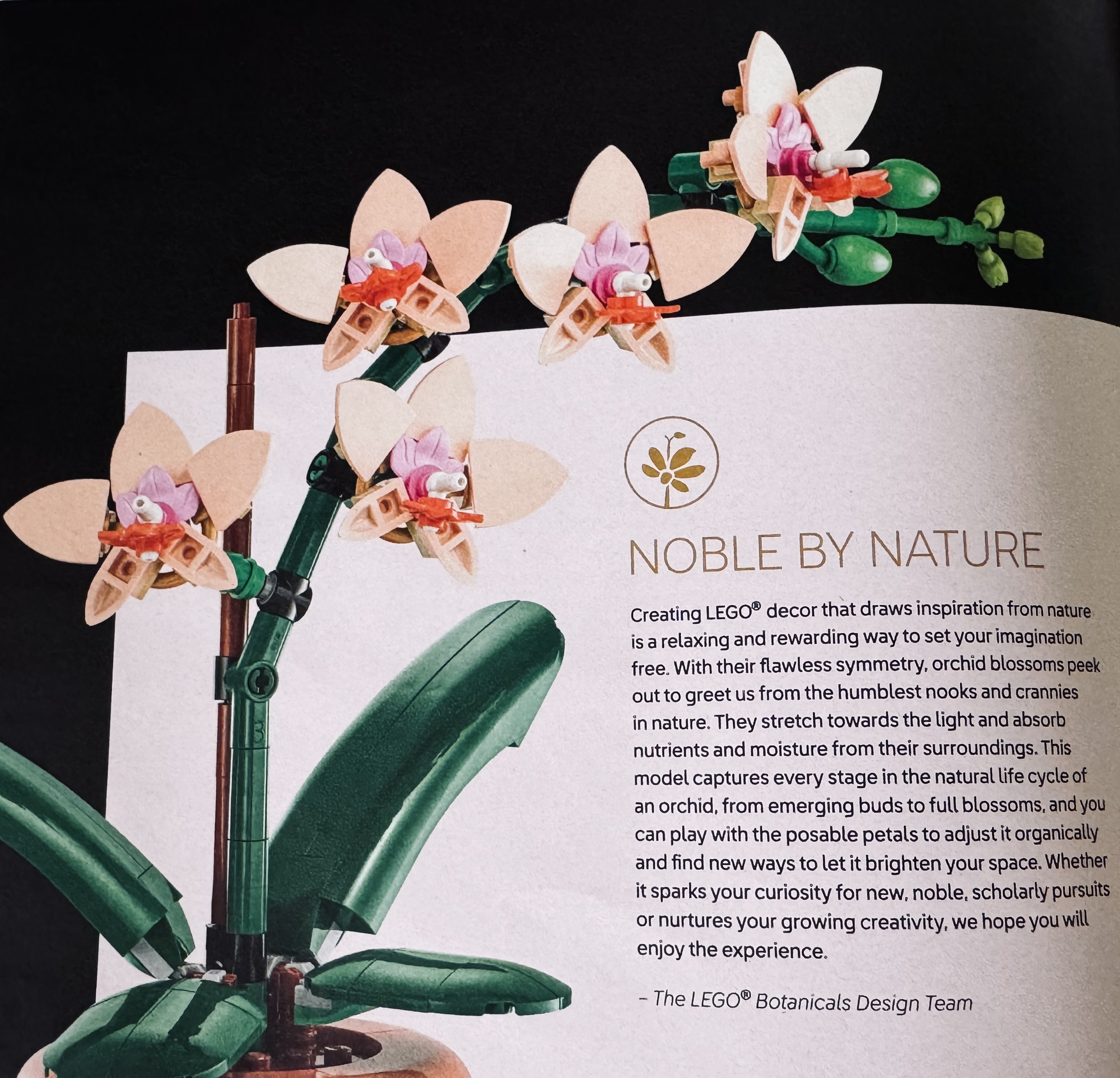 LEGO mini Orchidee beschrijving uit het handleidingsboekje