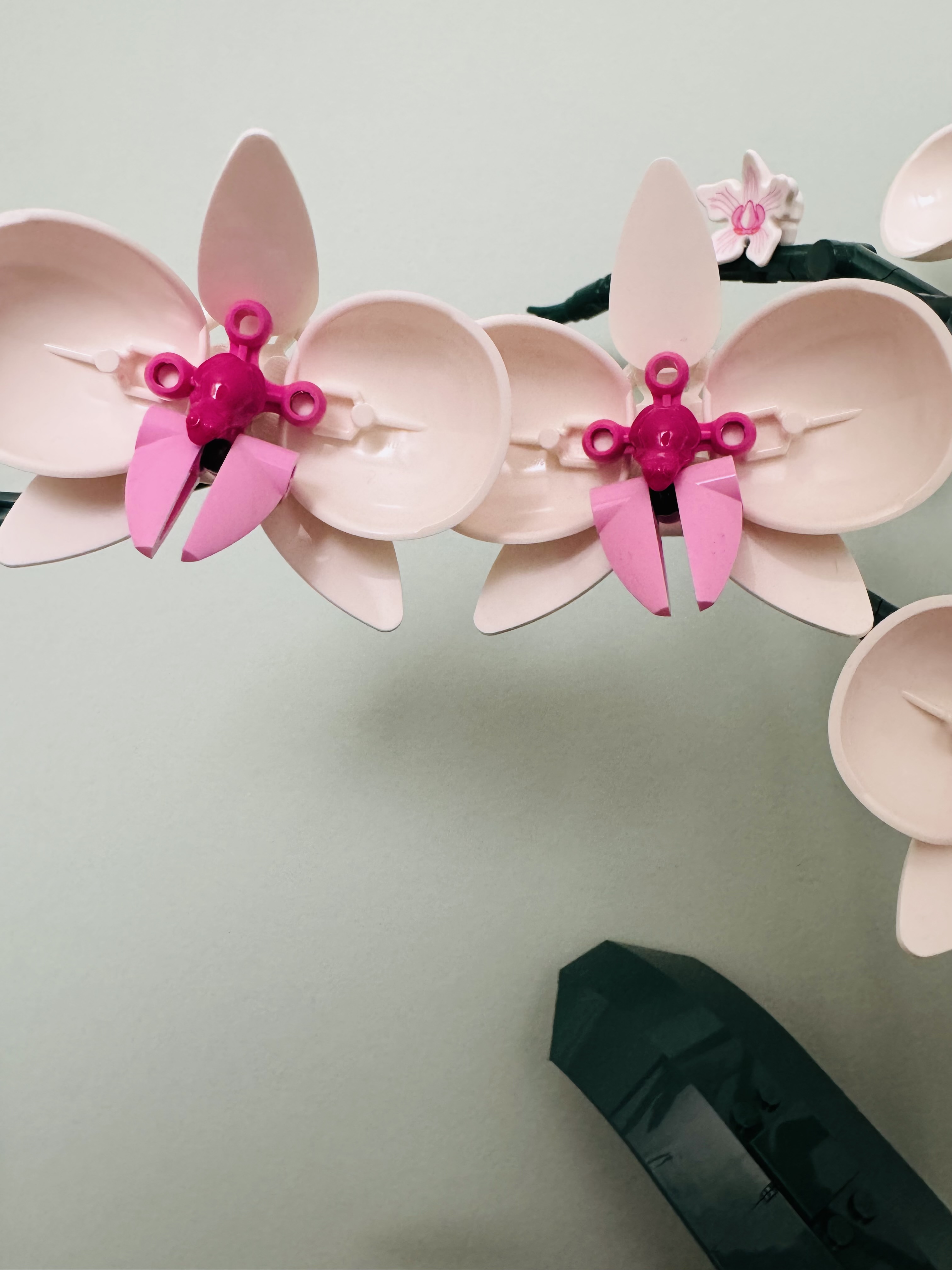 Close-up van twee bloemen van de LEGO orchidee