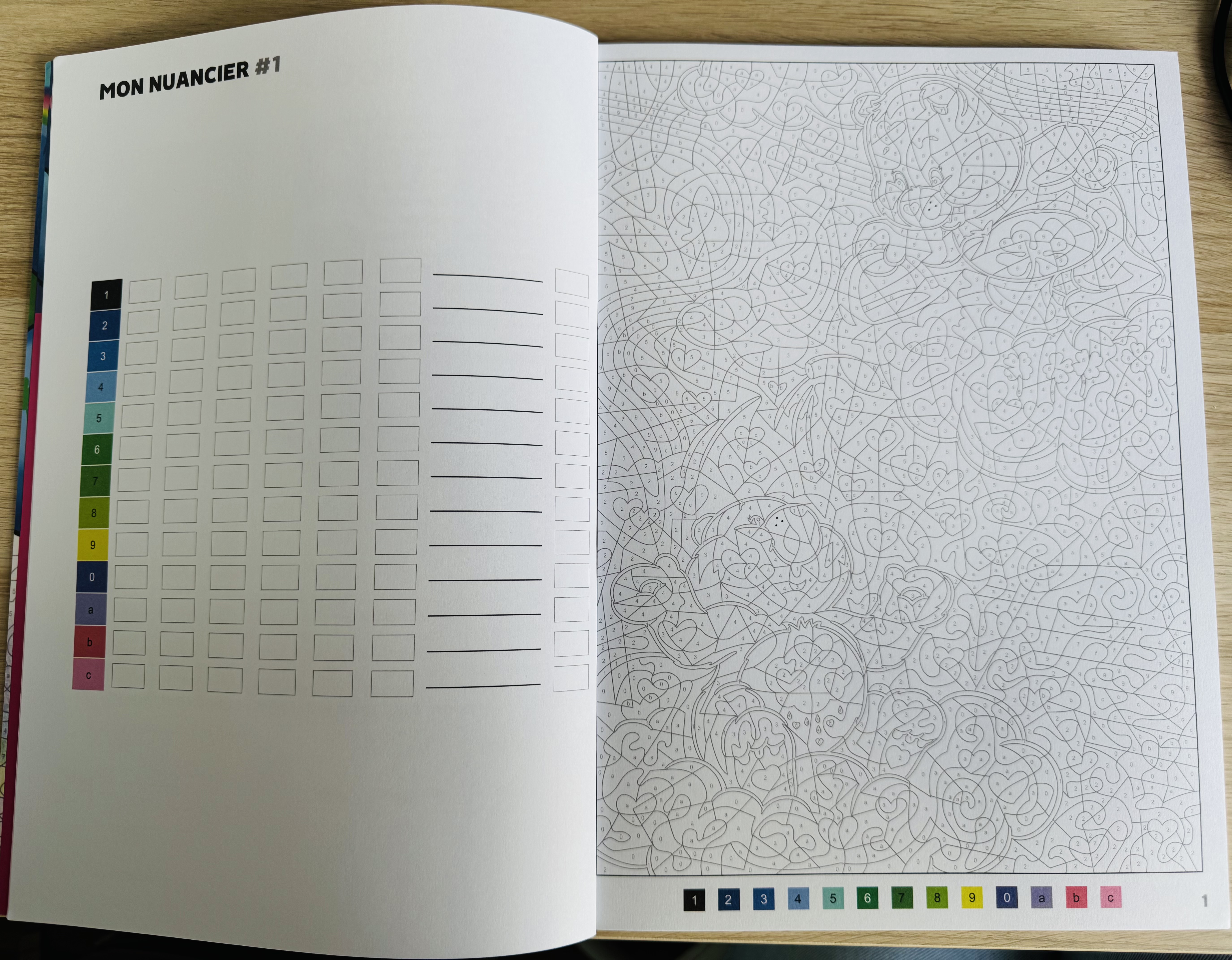 Voorbeeld van nog niet ingekleurde kleurplaat van het Bisounours kleurboek