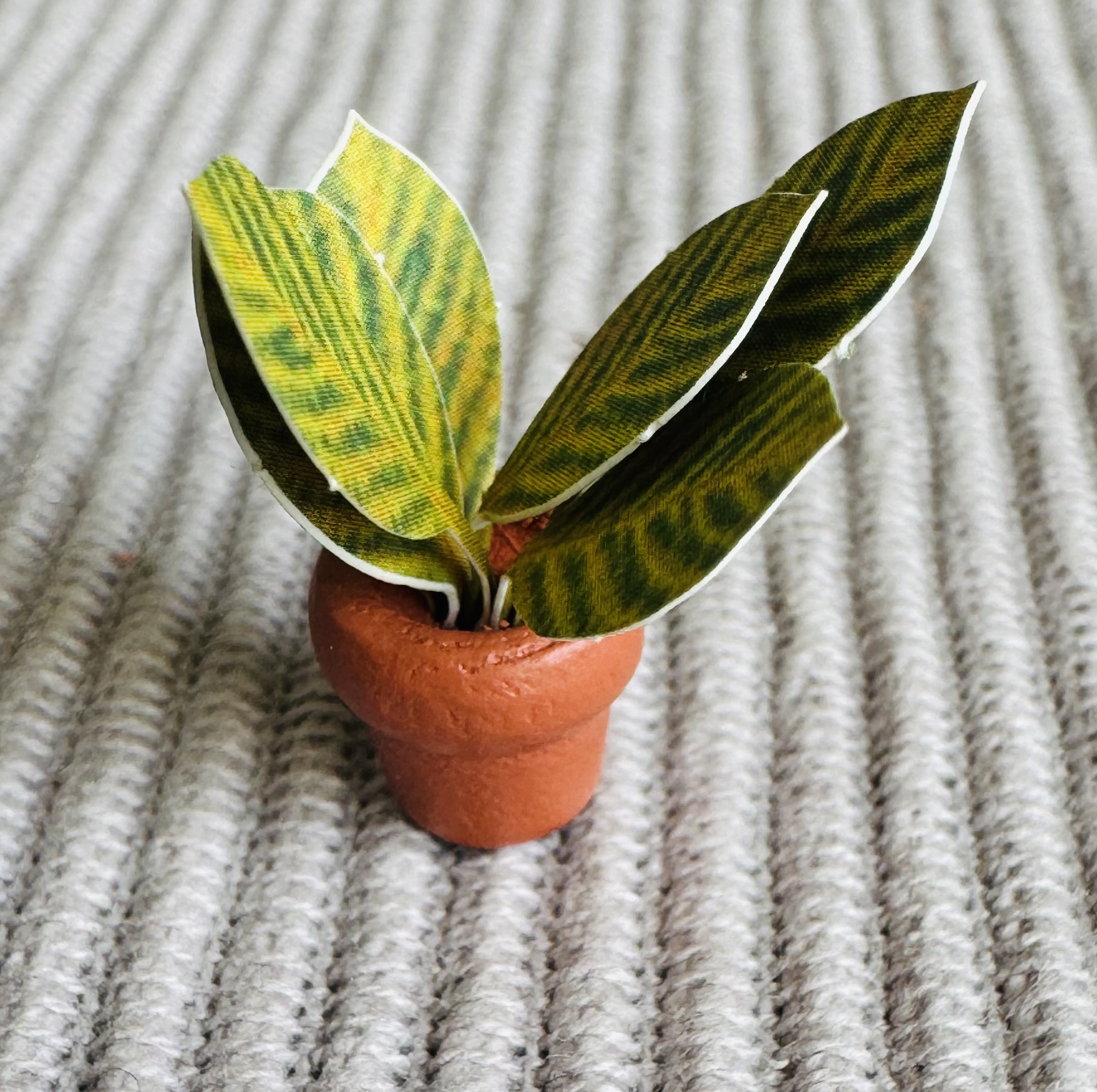 In elkaar gezet miniatuur plantje