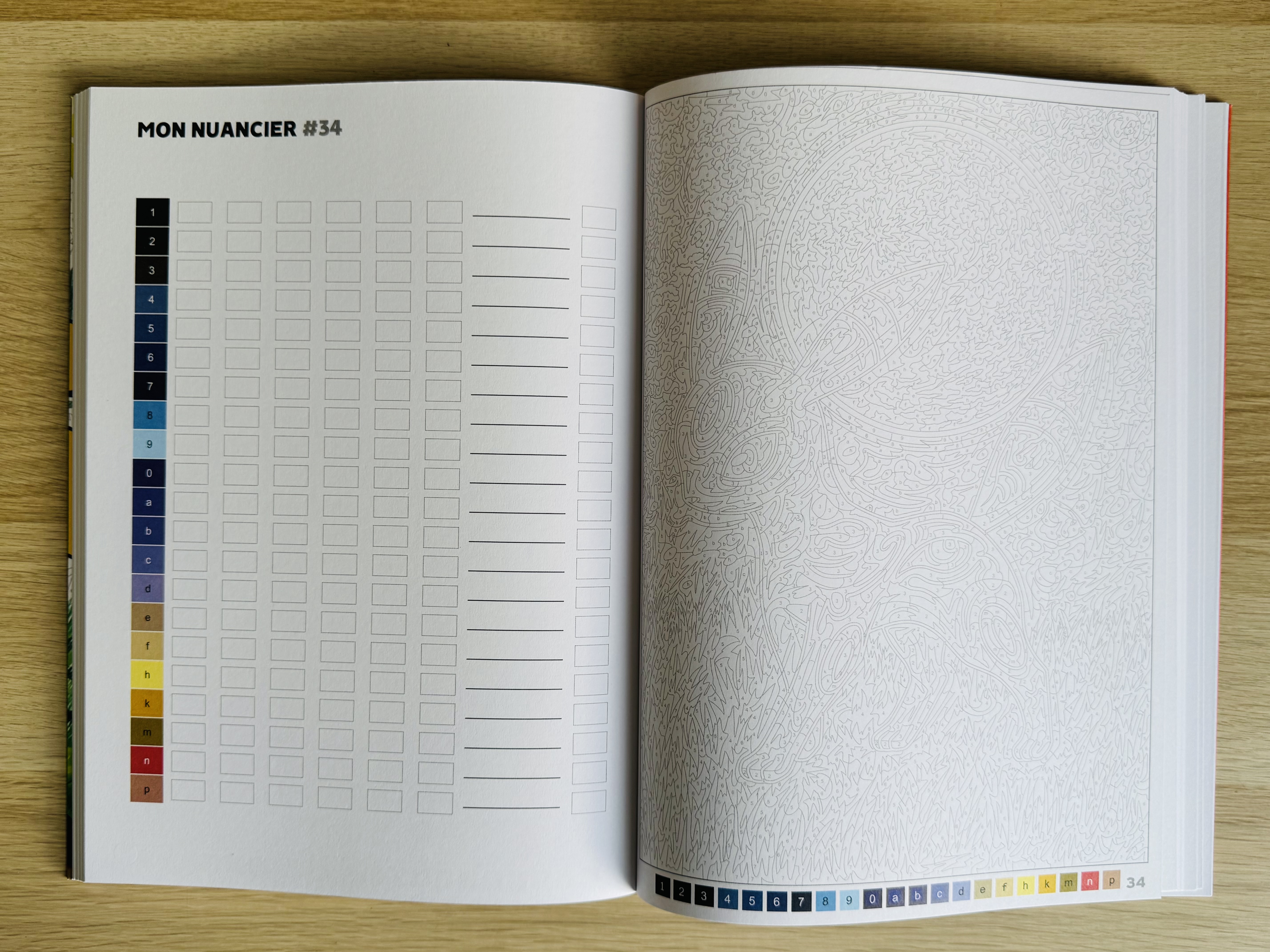 Nog niet ingekleurde kleurplaat uit Pokemon kleurboek