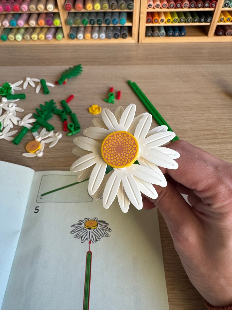 Het eerste madeliefje is gemaakt