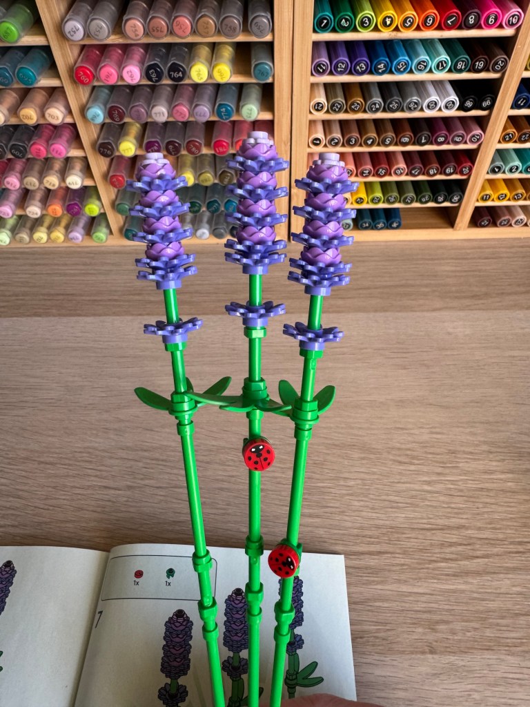 De lavendelstengels met lieveheersbeestjes op de stengels