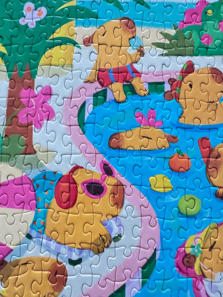 Close-up